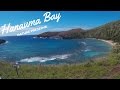 Snorkeling with Fishes in Hanauma Bay