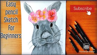 Easy Rabbit Drawing For Beginners Step by step|Rabbit Drawing|Easy Pencil Sketch|  @KokuyoCamlin