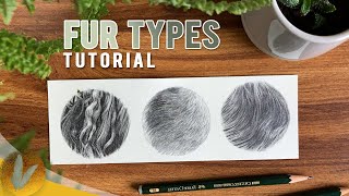 How To Draw Fur Types Tutorial - How To Draw Short Fur, Long Fur, and Wavy Fur with Pencil