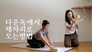 다운독에서 제자리로 오는 방법! 즉흥적으로 알려드려요! (4분)