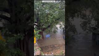 Papanasam sivan Temple Thirunelveli District Over FullFlood #sivan #temple @alltimenewone8759