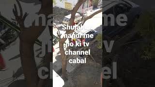 shujalpur mandi me jio ki tv channel (shri nagar colony me)