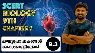 kerala psc SCERT 9th biology chapter 3 ലഘു പോഷകങ്ങൾ കോശങ്ങളിലേക്ക്  lakhu poshangal koshangalilekk