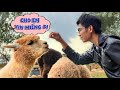 Quang BM | Du Lịch Đà Lạt Cuối Năm | Travel in Dalat