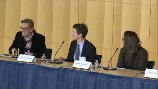 2025 03 27 AI Roundtable Panel 02