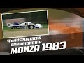 Jacky Ickx | Porsche 956 In-car action | 1983 Monza 1000km | World Sportscar Championship