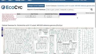 Analyze transcriptomics and metabolomics data