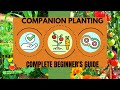 Complete Beginner's Guide to Companion Planting