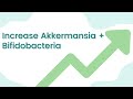 Increase akkermansia muciniphila & bifidobacteria