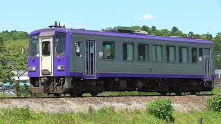 One-car diesel train runs fast on JR Kansai Main Line  単行で快走するＪＲ関西本線気動車キハ120形