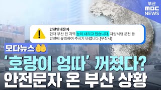 적설량 0.5㎝에 '눈 조심' 안전문자 온 부산 상황 | 모다뉴스🤲