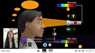 Phet Simulation-- Color Vision