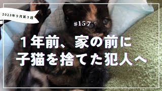 一年前、家の前に子猫を捨てた犯人へ［vol.157］