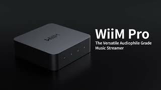 WiiM Pro | The Audiophile-Grade Music Streamer