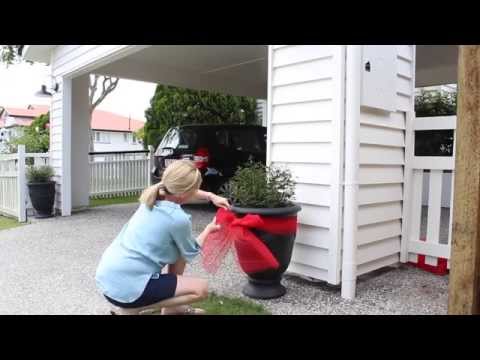 How to Tie a Bow around a Potted Plant How to Tie a Bow around a Potted Plant