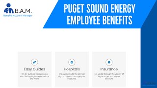 Puget Sound Energy Employee Benefits Login | Via Benefits PSE my.viabenefits.com/pse