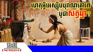 ហេតុអ្វីបានជាប្រជាជនអេហ្ស៊ីបបុរាណគោរពបូជាសត្វឆ្មា?