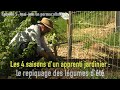 Les 4 saisons d’un apprenti jardinier : le repiquage des légumes d’été