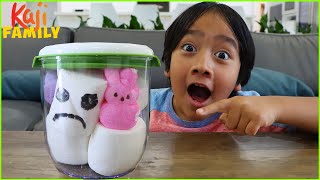 Marshmallow in Vacuum with top 5 Science Experiments for kids!