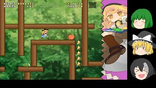 【魔理沙と６つのキノコ～New Super Marisa Land～】~魔法の森Extraステージ~