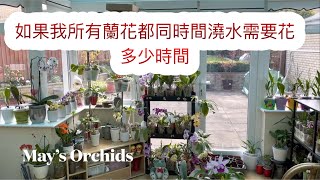 21年四月份不同蘭花跟進 及如果我所有的蘭花都同一時間澆水需要花多小時間（15-4-2021）