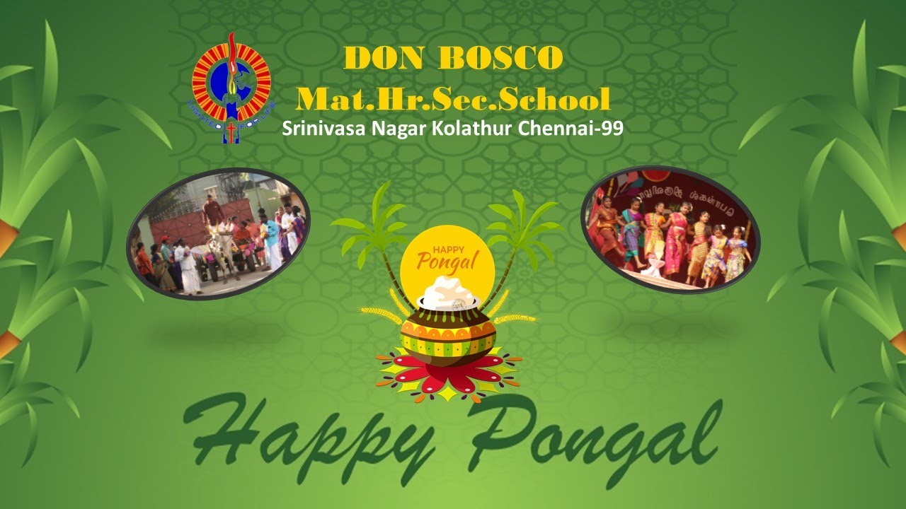 PONGAL CELEBRATION 2023 | DON BOSCO MAT.HR.SEC. SCHOOL / SRINIVASA ...