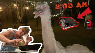 DONT EAT KEVINS EGG AT 3:00 AM!! (Poppy Vented!?) *SUS*