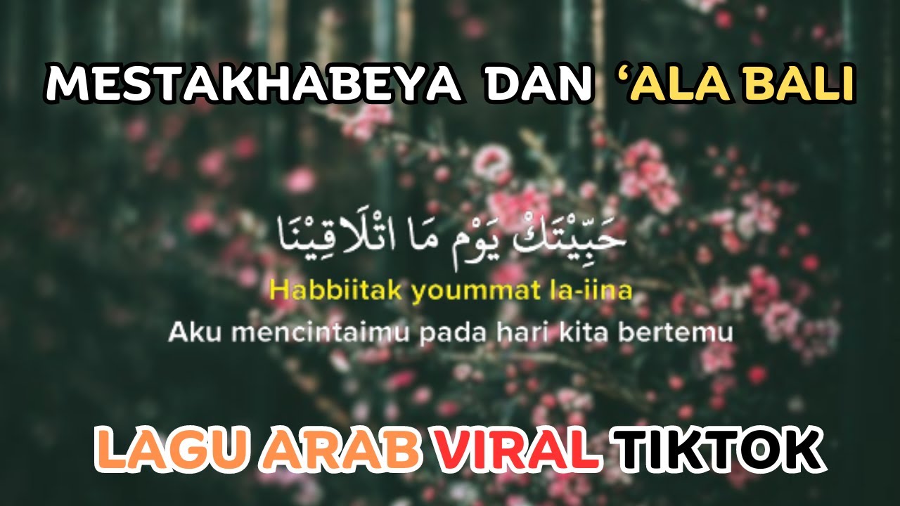 Haga Mestakhabeya (habbitak Yaumatlaqina) X Ala Bali || Viral TikTok ...