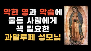 악한 영과 악습에 물든 사람에게 꼭 필요한 과달루페 성모님