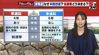 【参院選】投票までに知っておきたい基本ポイントを解説【ナガエのギモン】（2022年7月1日）