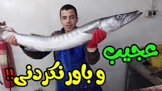 مهارت عجیب و باور نکردنی استاد جوان در پاک کردن و برش 2 ماهی سایز بزرگ در بازار ماهی ایران!!