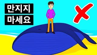 죽은 고래가 왜 위험할까요?