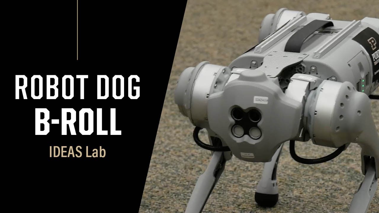 Unitree Go1 PRO Robot Dog Artificial Intelligence, 41% OFF