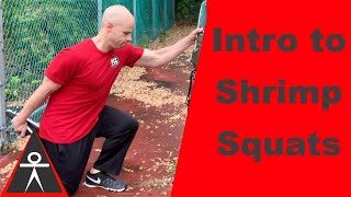 How to do Shrimp Squats for Beginners