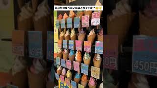 《日本一》約170種類のソフトクリーム🍦食べたい味が絶対見つかる山口県の観光名所