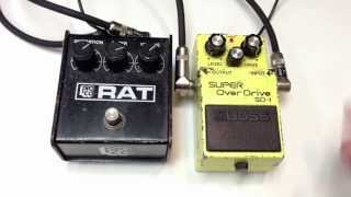 1986 Pro Co Rat vs 1982 Boss SD-1 Super Overdrive