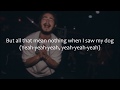 Post Malone ft. Quavo - Congratulations (lyrics)