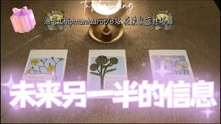 【Chipmunk占卜】未来另一半的信息😇如何 何时相遇🥰 Pick a card