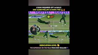 இந்த மாதிரி நம்ம players dive அடிப்பங்களா 🤔#cricket #dedication #Phillips #shorts