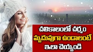 చలికాలంలో చర్మం మృదువుగా ఉండాలంటే.. | Winter Skin Care Tips | Disha TV Health