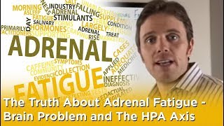 The Truth About Adrenal Fatigue - Brain Problem and The HPA Axis