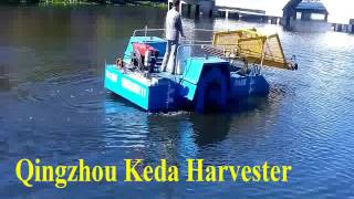 Qingzhou Keda Mini Weed Harvester Working