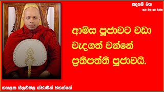 ආමිස පූජාවට වඩා වැදගත් වන්නේ ප්‍රතිපත්ති පූජාවයි.849Ven Hasalaka Seelawimala Thero