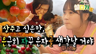 [라이브오늘_살다가]  상주 은자골마을 2부 | KBS대구 231025