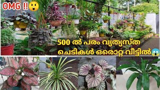 Amazing Garden Visit | Gardening Tips | 500 വ്യത്യസ്ത ചെടികളുള്ള ഒരു ടീച്ചറുടെ വീട്ടിൽ..!😲