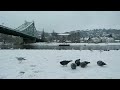 Don’t Disappear | Crystal Clear | Version 3