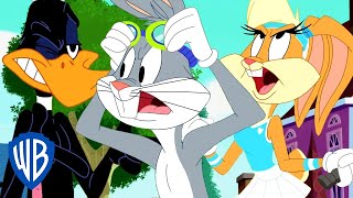 Looney Tunes en Latino | Frío abre el vol. 2 | WB Kids