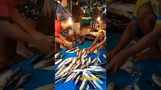 Di Obral Biar cepat Habis#freshfish #Pasar ikan sanggeng paris