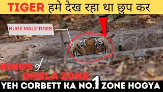 Dhela Zone के बड़े बाघ | बाघों की लड़ाई | Jim Corbett National Park #tiger #uttarakhand