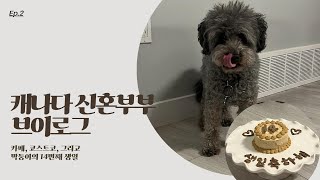 캐나다 신혼 부부 브이로그🇨🇦 👩‍❤️‍👨 ep.2 | 카페 나들이 ☕️| 코스트코 장 보기🛒 | 막둥이의 14번째 생일🎂